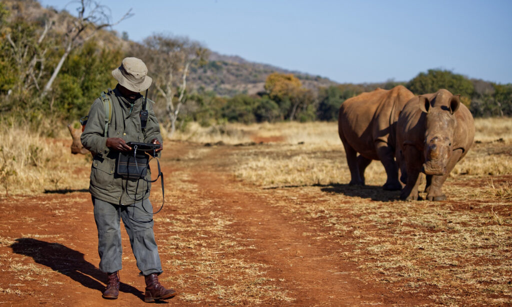 Care for Wild Rhino Monitor, South Africa