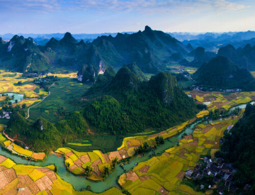 Investing in the Future